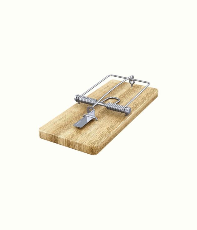 Classic wooden mouse trap